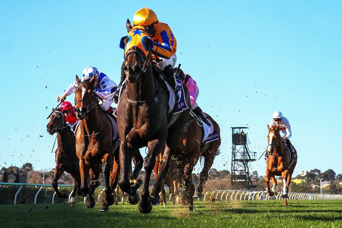 Stage 'N' Screen Stars at Flemington