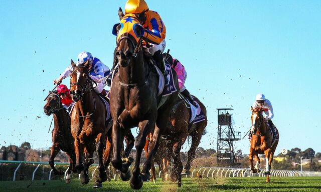 Stage 'N' Screen Stars at Flemington