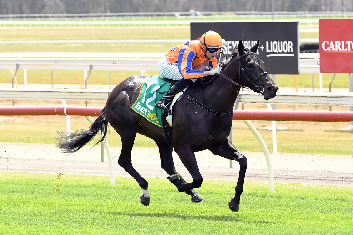 Te Akau Mornington Monday Preview