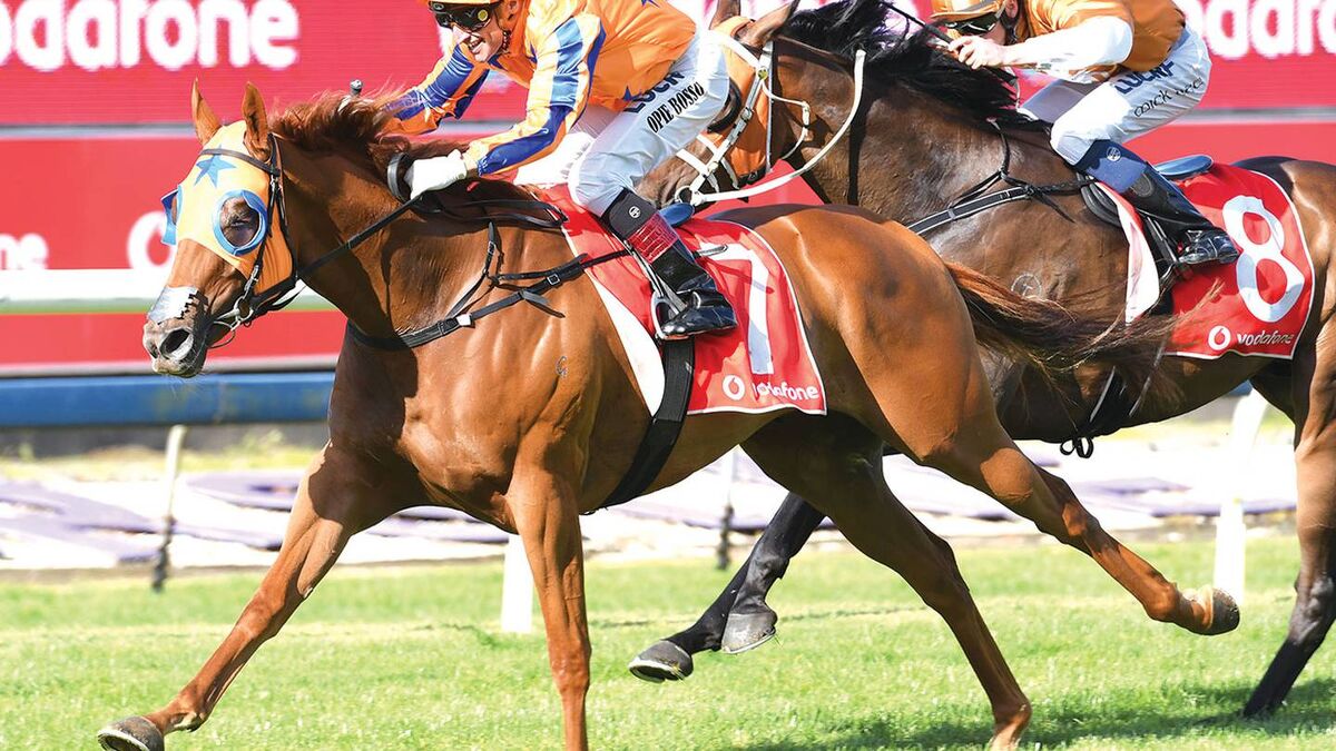 Mammoth Stakes' Injection for NZ Racing
