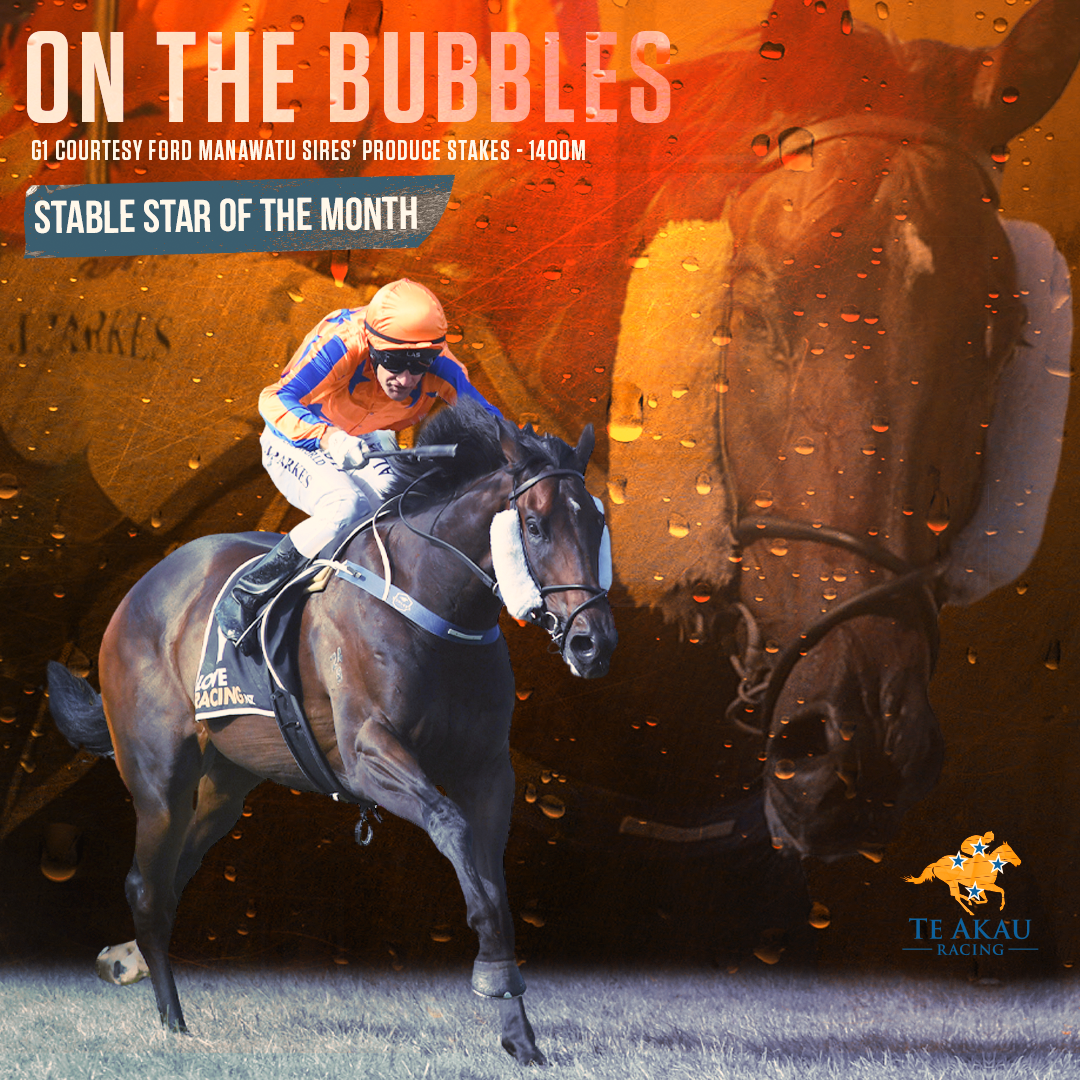 Te Akau Stable Star Of The Month - April