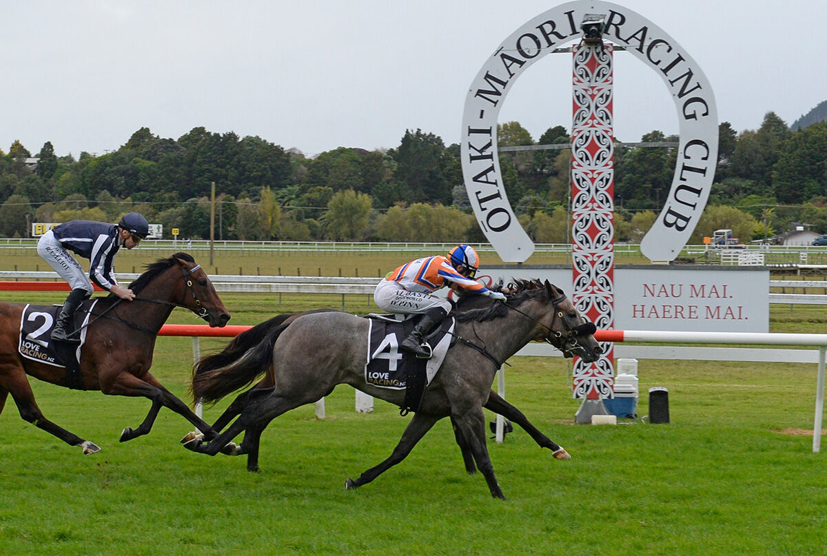 Second Saturday 2YO Winner