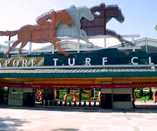 Te Akau Singapore Quinella