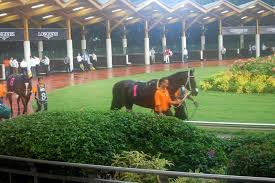 Singapore Sunday Double