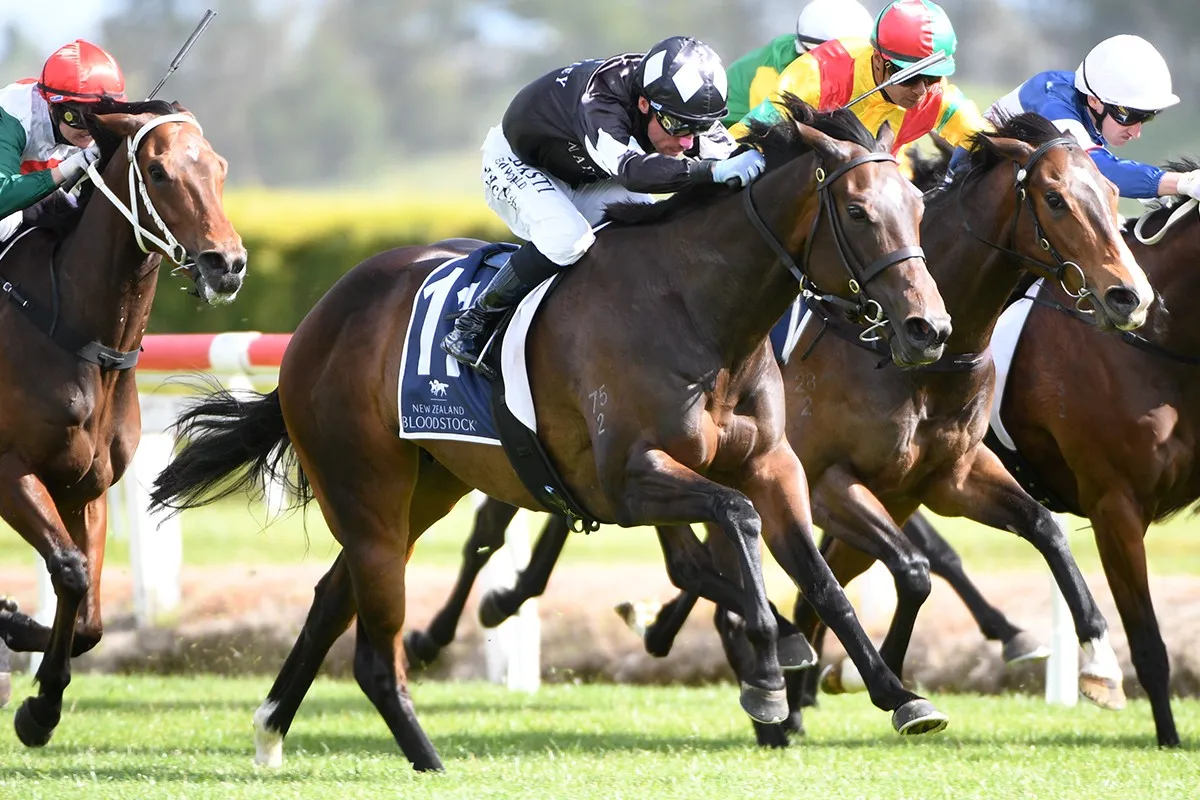 Stella Ma Bella winning at Te Rapa