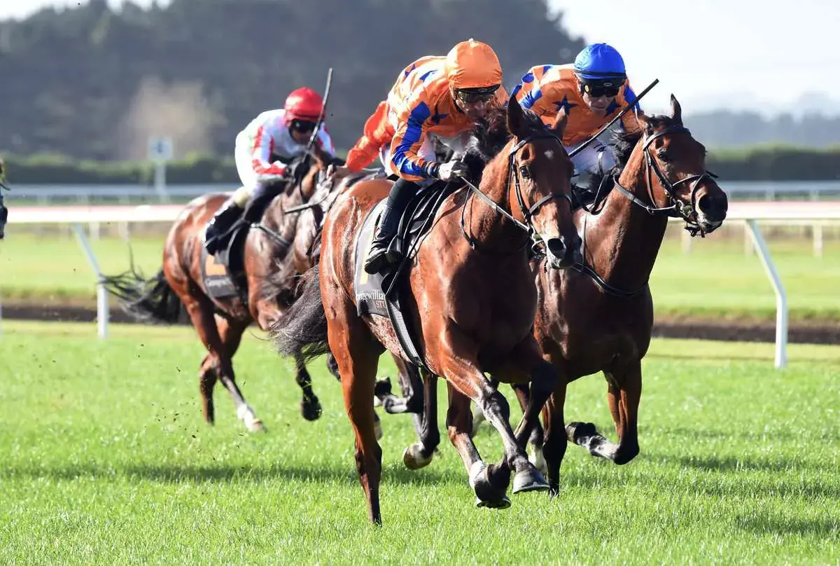 Te Akau Hawera Tuesday Preview