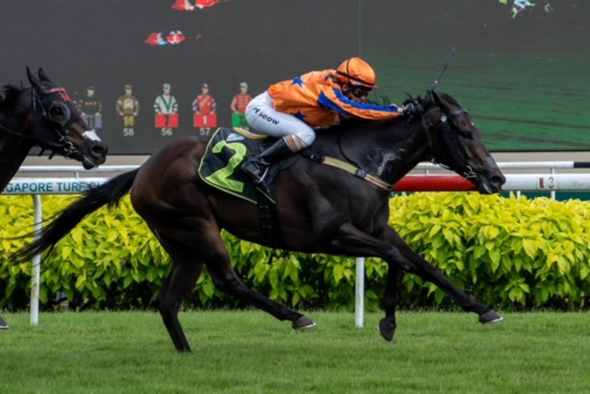 Te Akau Singapore Sunday Preview