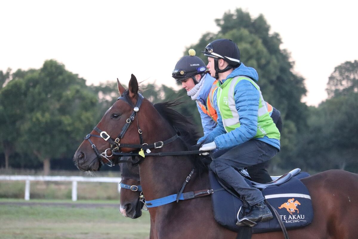 Te Akau Thursday Trackwork