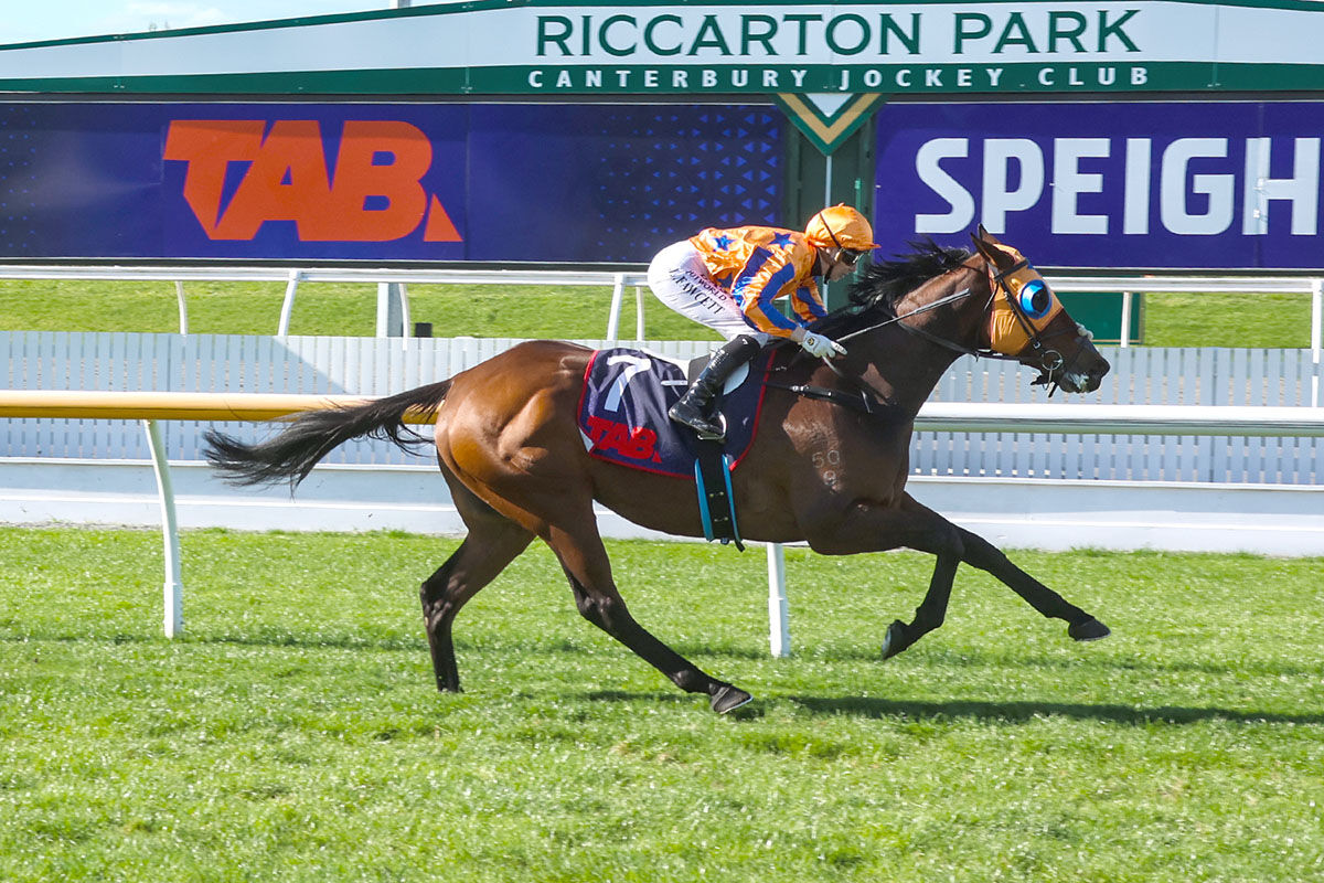 3 Win Saturday - Stonybreck Scorches Home