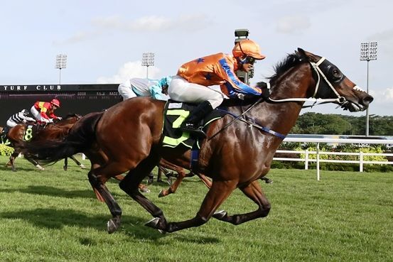 Barn-Storm Finish for Trooper