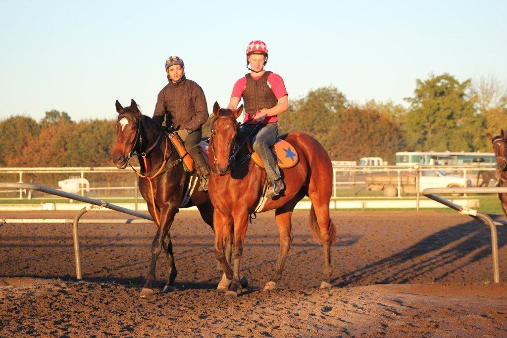Matamata Tuesday Trackwork