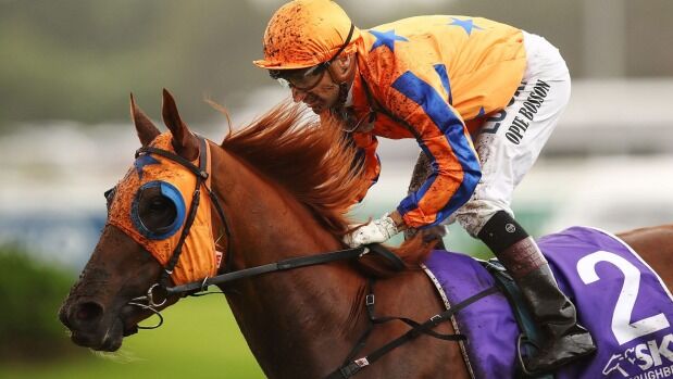 Gingernuts Draws Wide - In Great Fettle