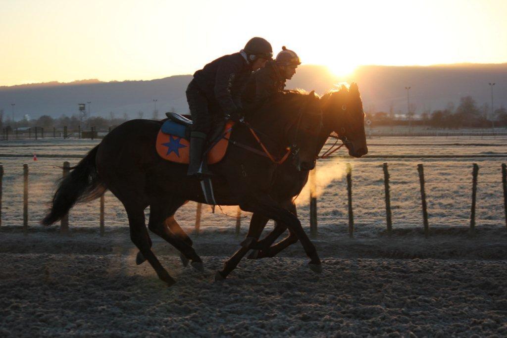 Te Akau Thursday Trackwork