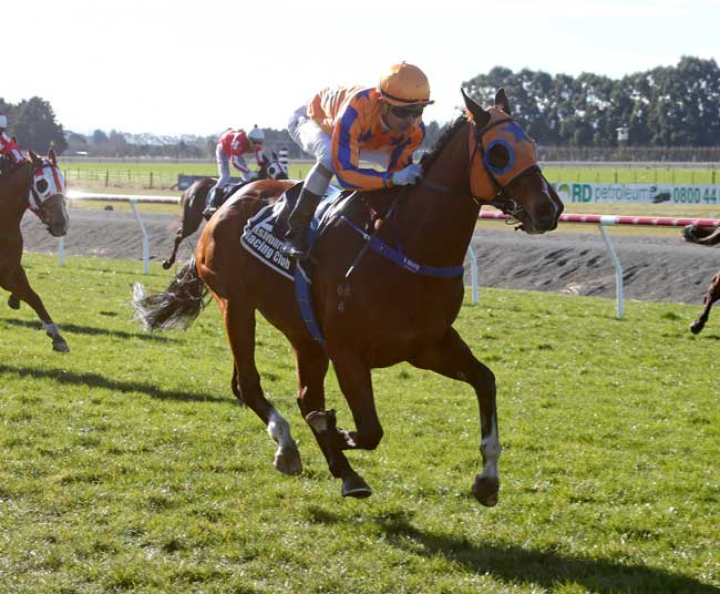 Monsoon Time at Ashburton