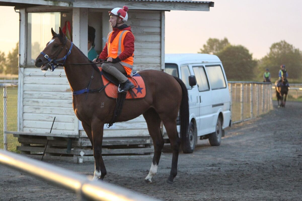 Te Akau Tuesday Trackwork