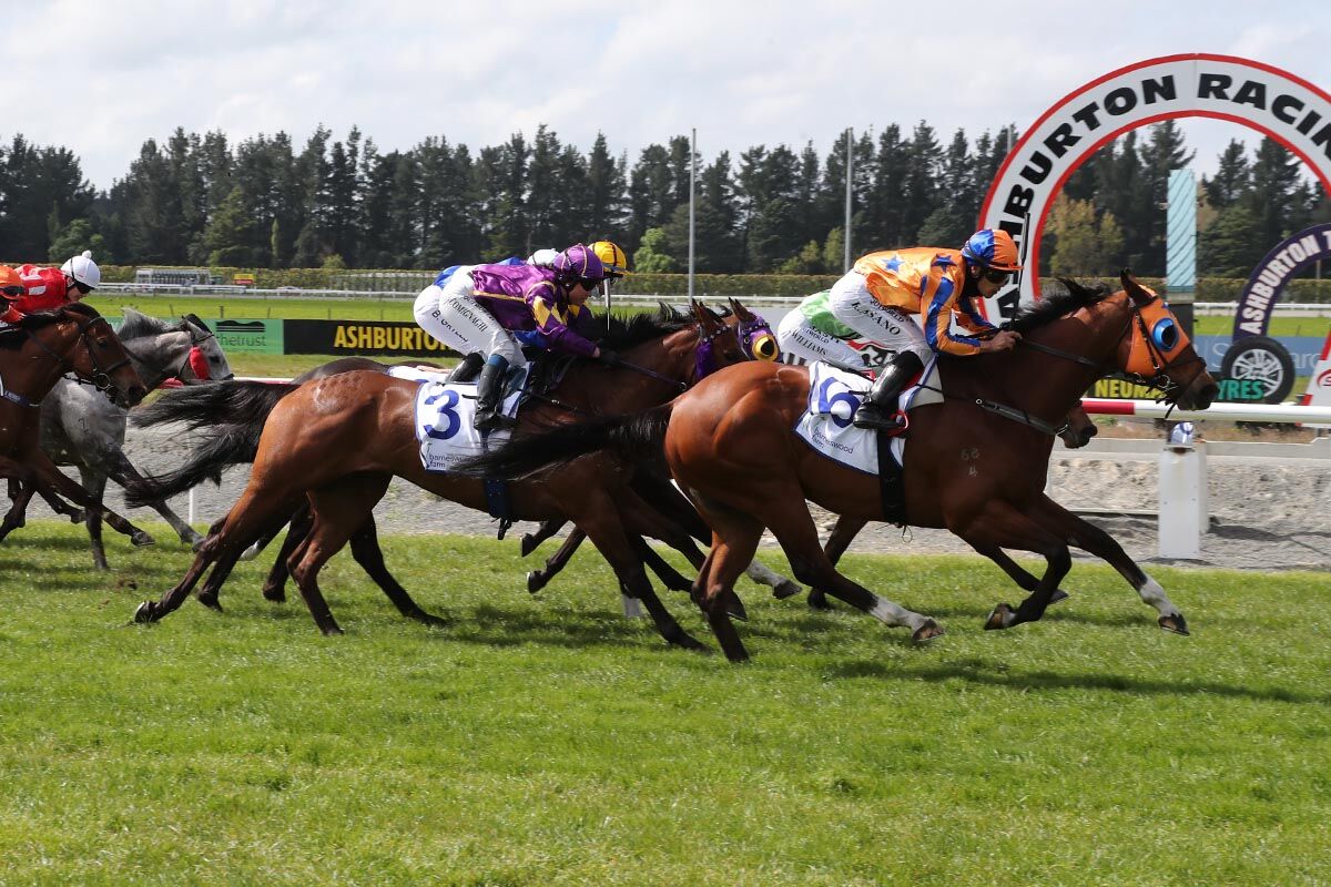 Summer Monsoon Smashing in Ashburton Cup