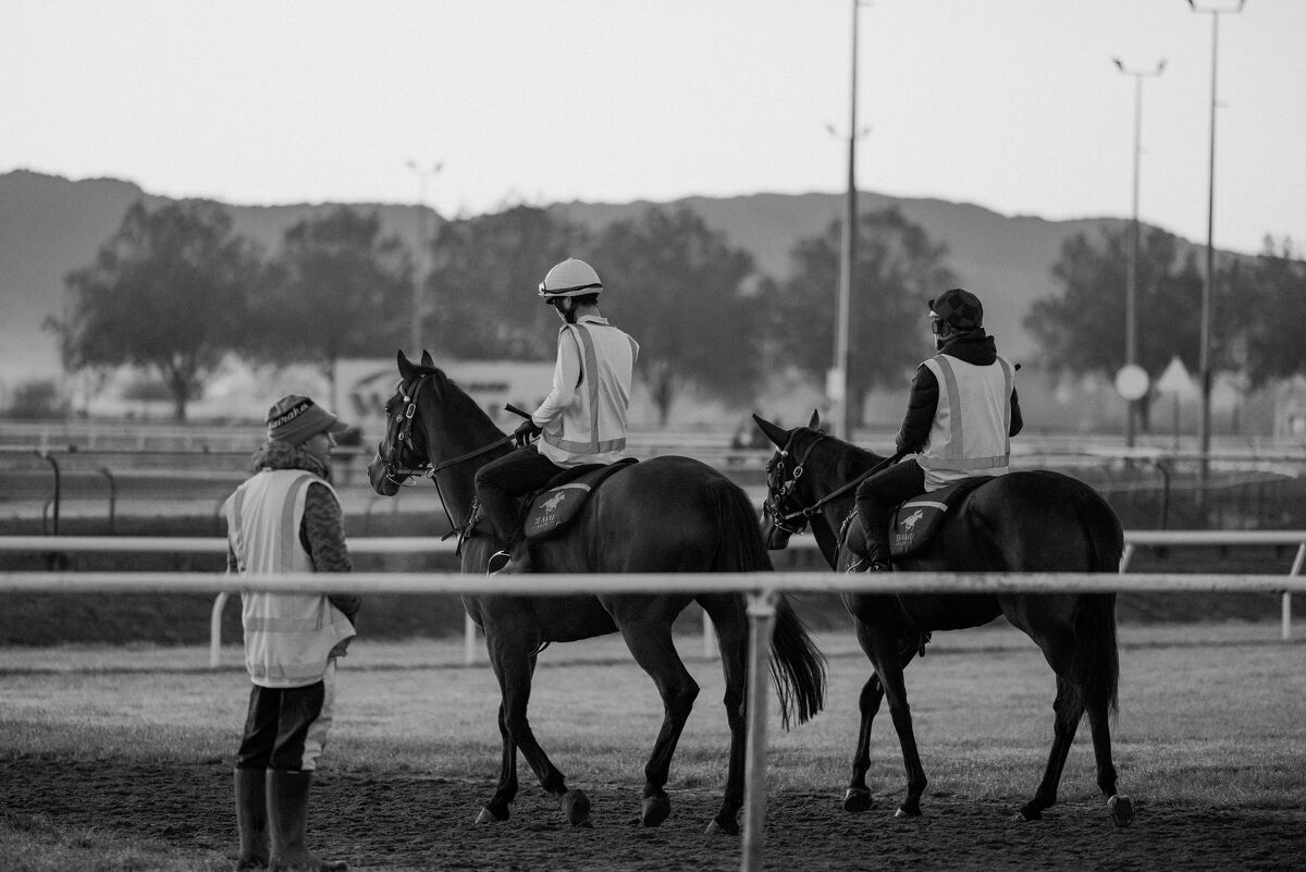 Te Akau Trans Tasman Weekend Trackwork