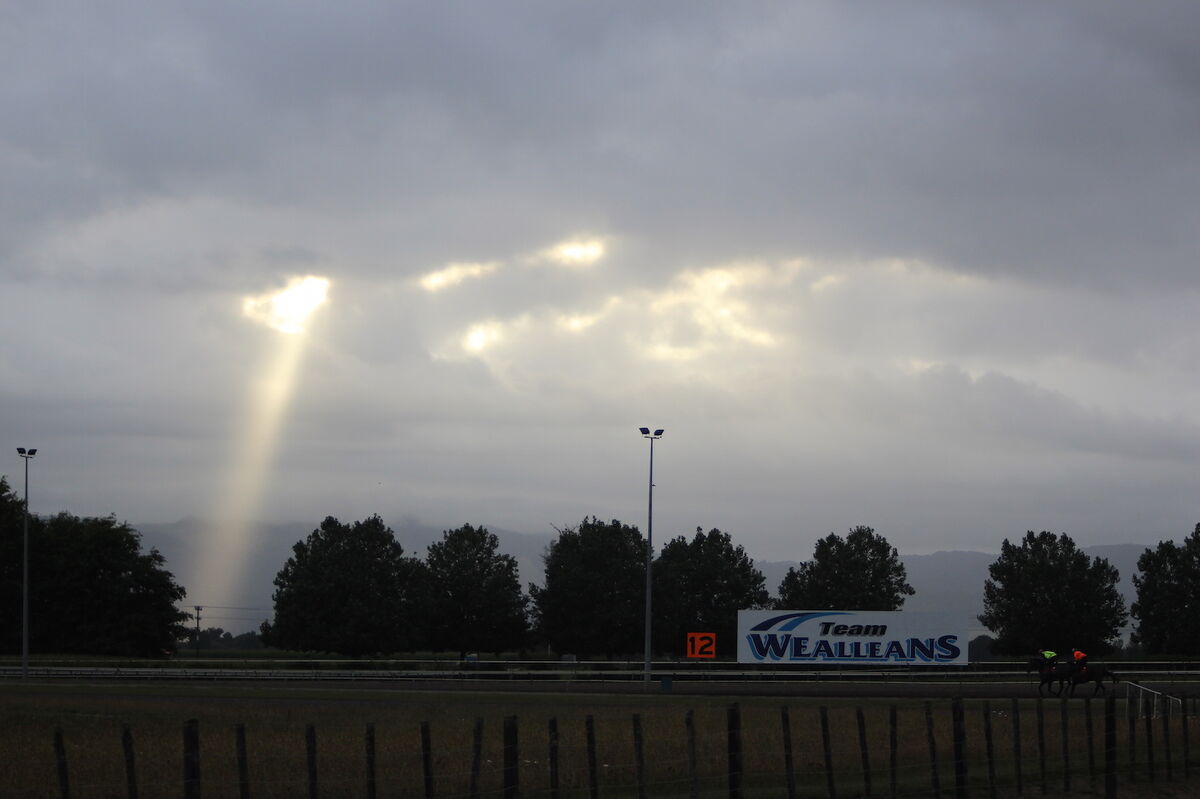 Te Akau Thursday Trackwork