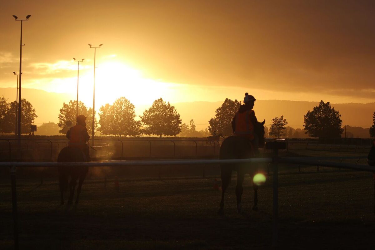 Te Akau Weekend Trackwork