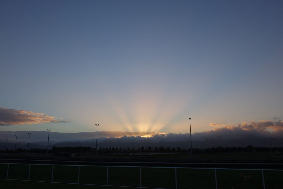 Te Akau Thursday Trackwork