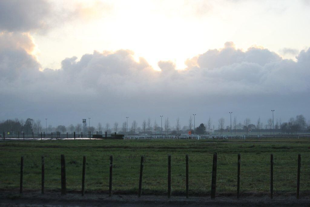 Te Akau Midweek Trackwork