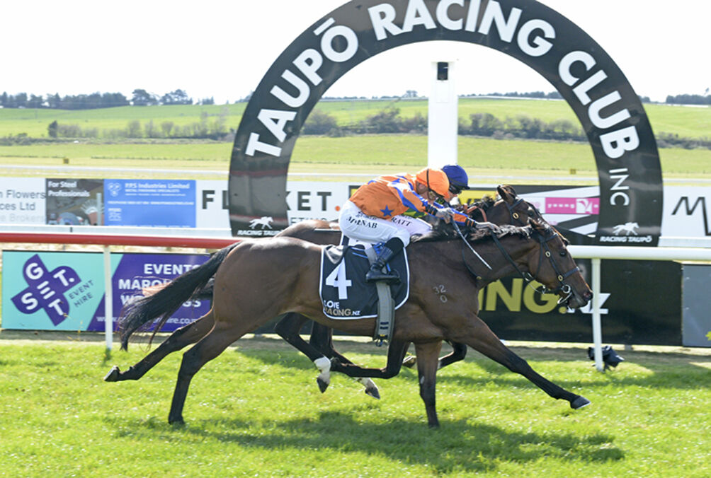 Taupo Double - Superbly Written Superb Indeed