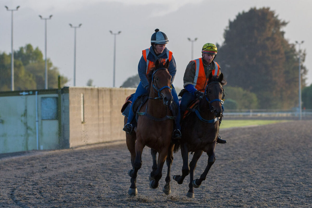 Te Akau Weekend Trackwork