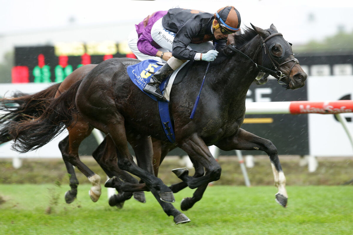 Rusof Plays a Blinder in Grp 2 Travis