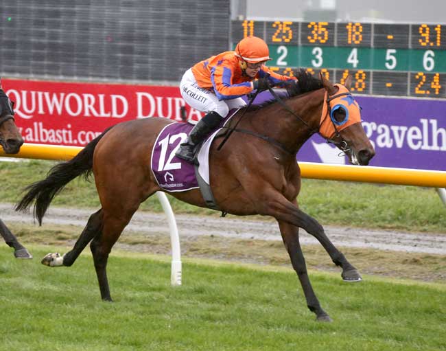 Te Akau Wins 4 at Riccarton