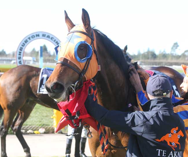 Three from Three at Ashburton