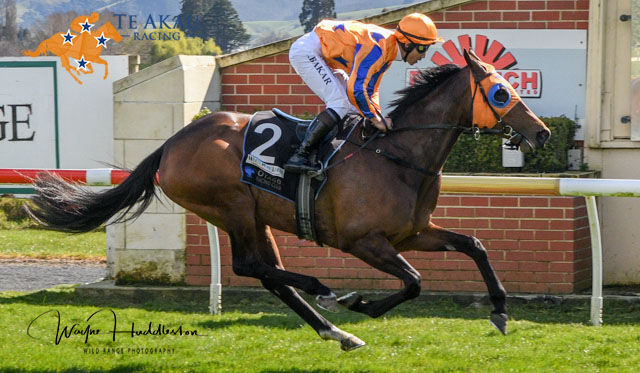 Te Akau Wingatui Friday Preview