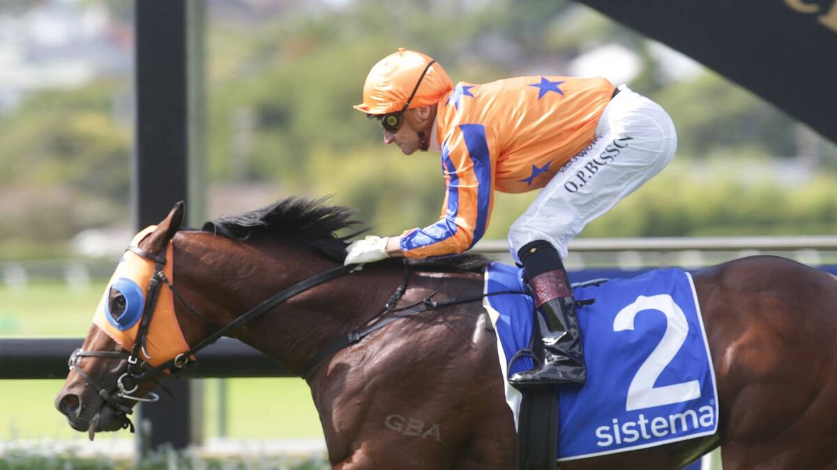 Te Akau Pursuing Magic Dream