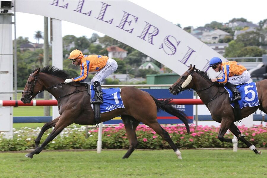 Te Akau's Group 1 Sword Returns