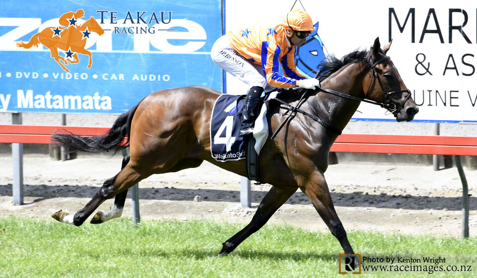 Te Akau Matamata Midweek Preview