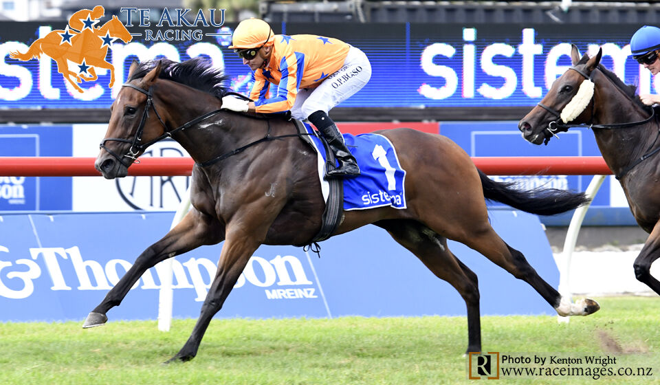 Te Akau Ellerslie Saturday Preview