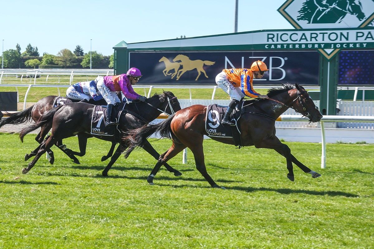 4 WIN SATURDAY - Group 3 Star Shines Bright