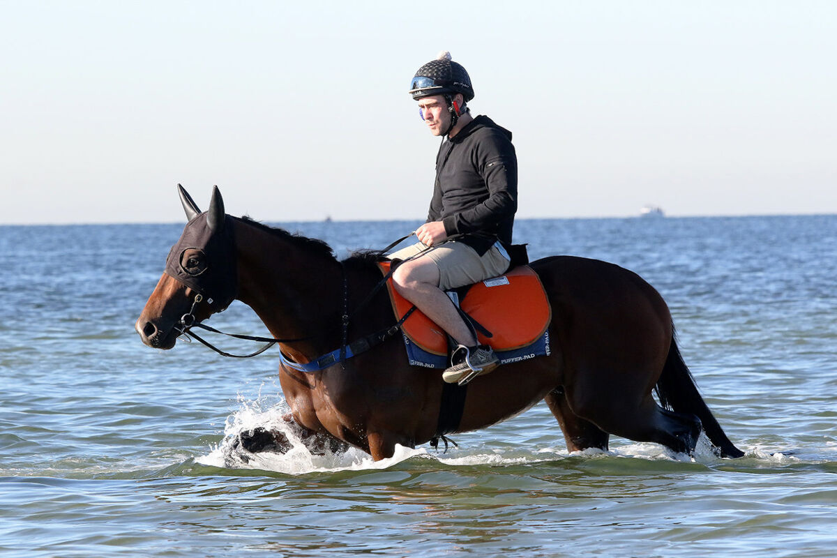TE AKAU TV - Weekend Preview with Assistant Trainer Sam Bergerson & Trainer Jamie Richards