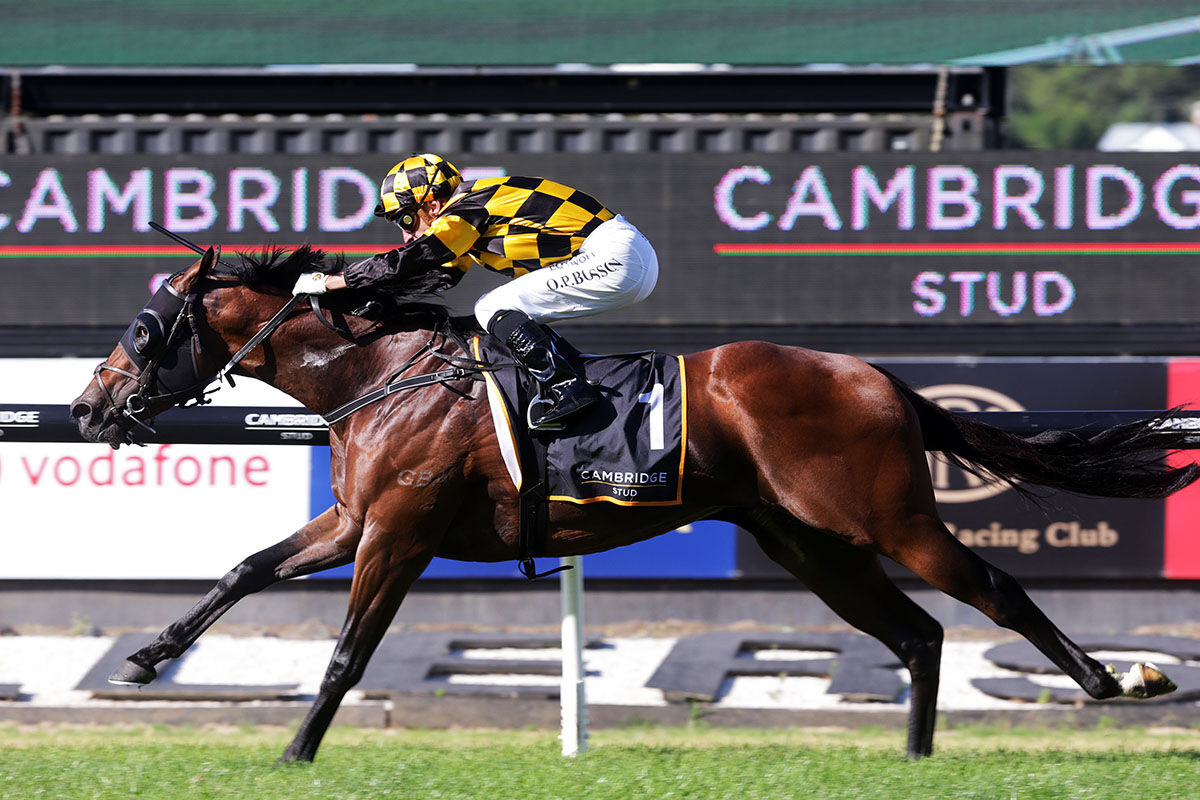 Early Support Strong for Sword of State