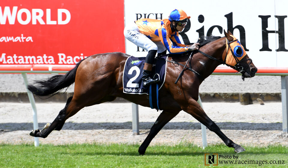 Te Akau Matamata Friday Preview