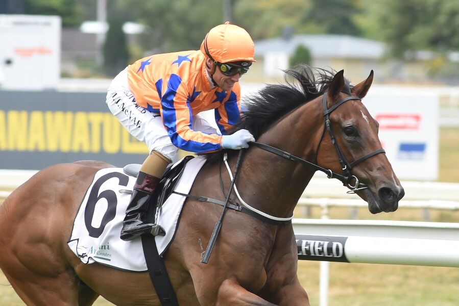 Boxing Day Contenders Impress in Exhibition