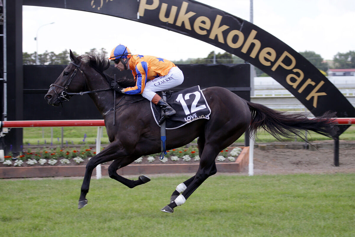 Te Akau Pukekohe Saturday Preview