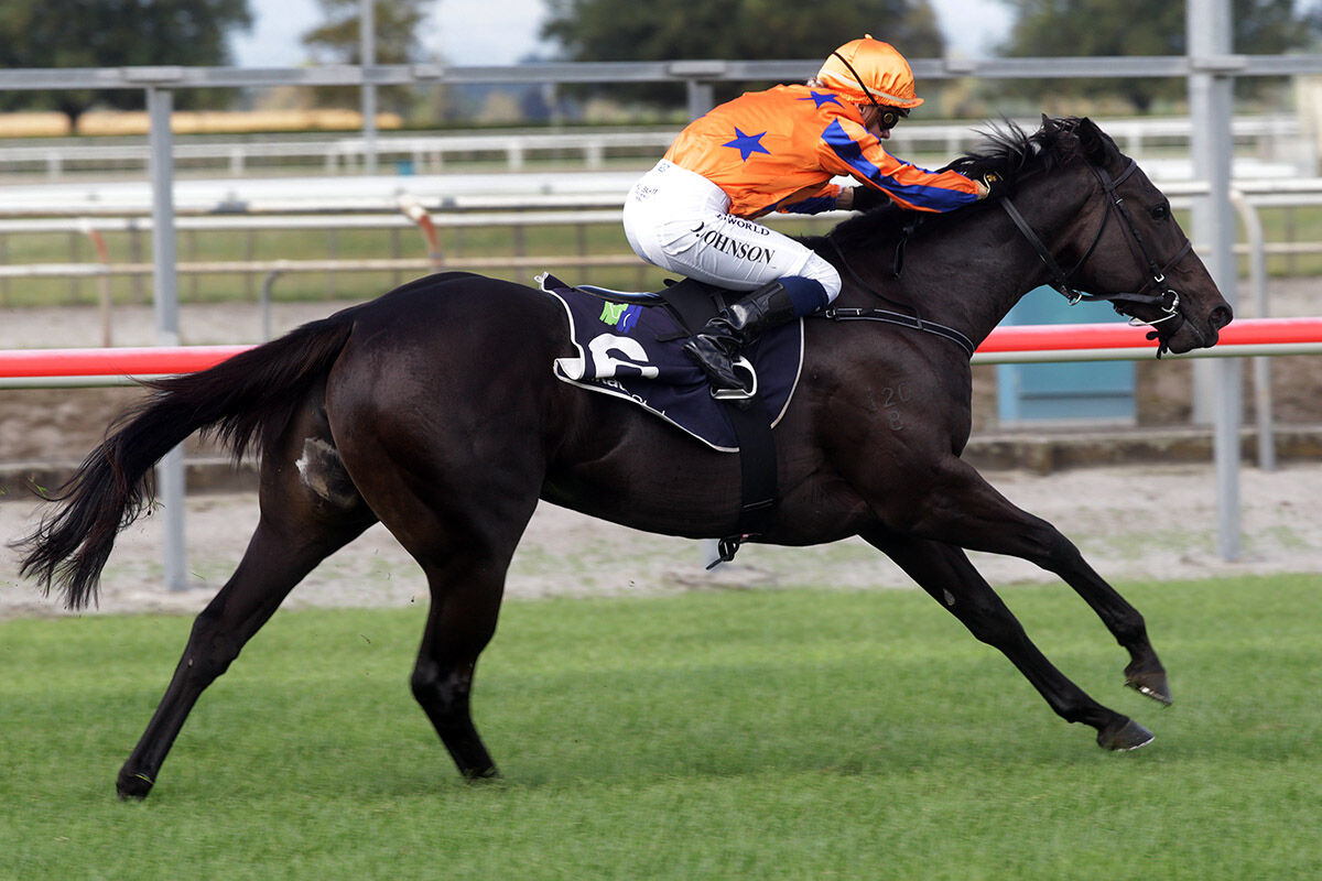 Synchronize Lands Pearl Bonus on Debut