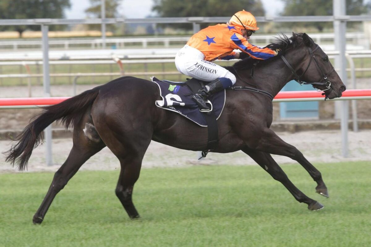 Te Akau Matamata Midweek Preview