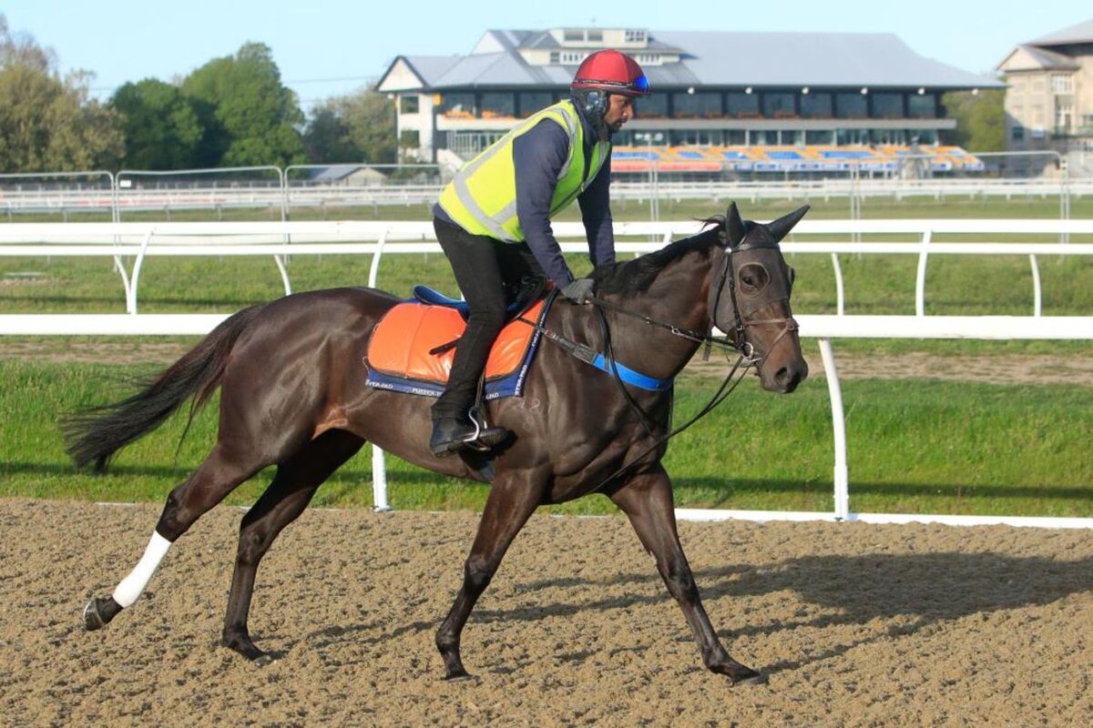 Te Akau Thursday Trackwork