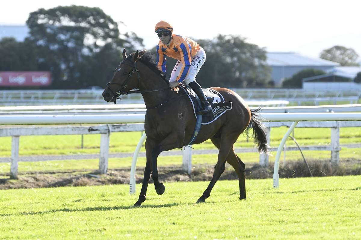 Te Akau Tuesday Update