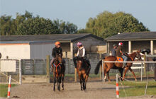 Te Akau Saturday Trackwork