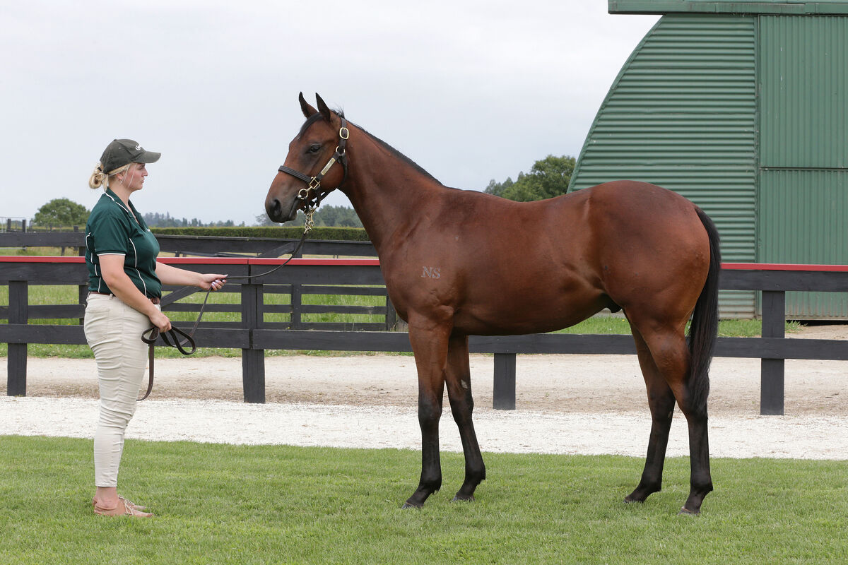 First Blood to Te Akau Towards '23 Karaka Millions 2YO