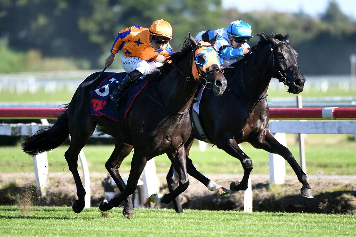 Winner: Talisker Terrific