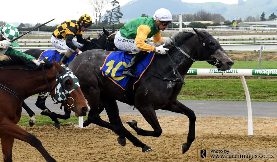 Top Winning Effort - Tauparae