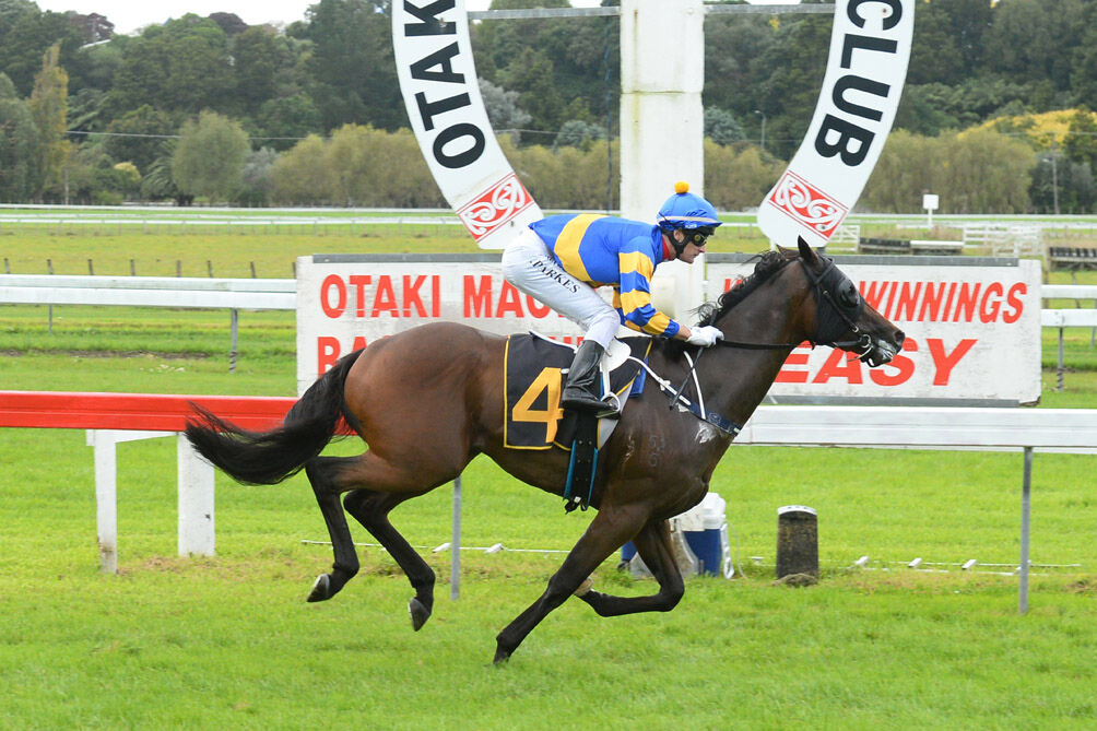 Te Akau Dragon Roars Home